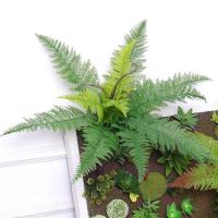 uploads/erp/collection/images/Home Garden/CongDing/XU0610798/img_b/XU0610798_img_b_1